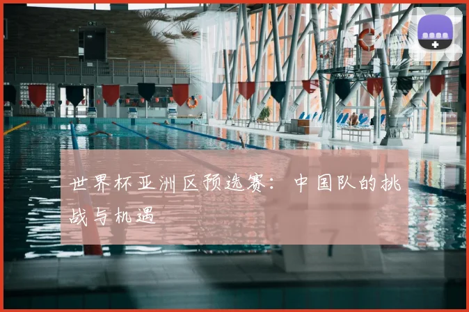 世界杯亚洲区预选赛：中国队的挑战与机遇